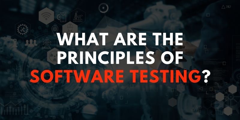 What are the Principles of Software Testing?