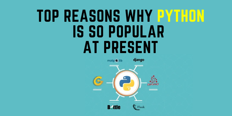 Top Reasons Why Python Is So popular At Present